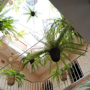 Córdoba Sevilla